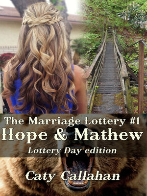 cover image of Marriage Lottery 1